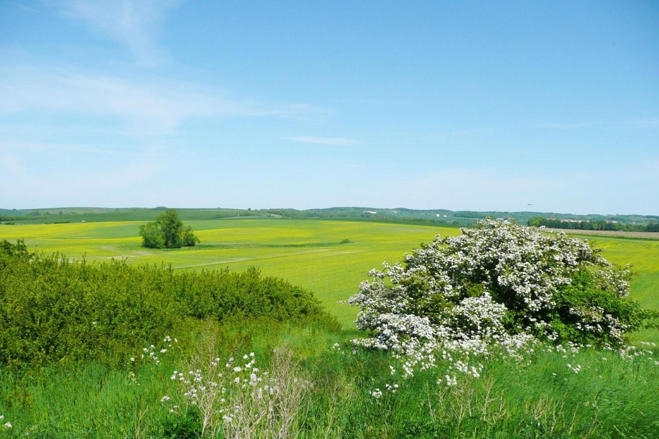 Ferienwohnung Mit Balkon Und Meerblick - Ferienresidenz Zwei Bodden Fewo 1-4 Lietzow Dış mekan fotoğraf